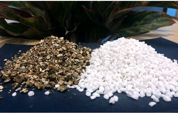 Các ứng dụng Perlite & Vermiculite